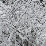 20210111_sniegs